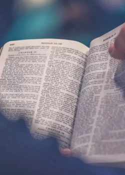 photo-1504052434569-70ad5836ab65